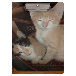 Meow Cats 28 Clipboard