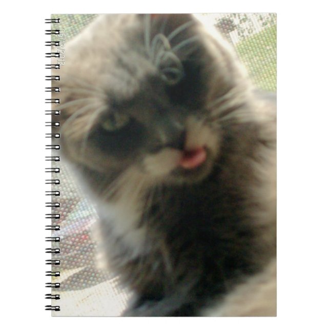 Meow Cats 2 Notebook (Front)