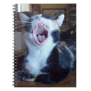 Meow Cats 30 Notebook