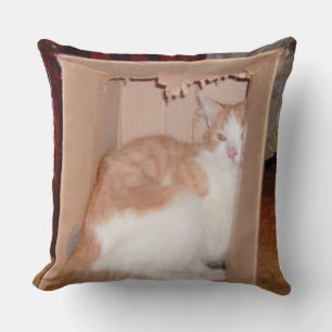 Meow Cats 31 Square Throw Pillow