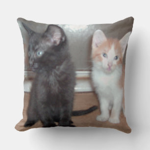 Meow Cats 32 Square Throw Pillow