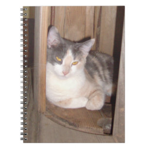 Meow Cats 33 Notebook