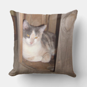 Meow Cats 33 Square Throw Pillow