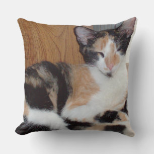 Meow Cats 39 Square Throw Pillow