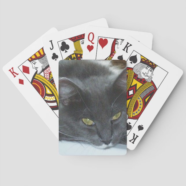 Meow Cats 8 Playing Cards (Back)