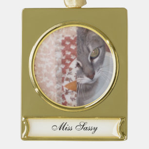 Meow Cats Gold Plated Banner Ornament