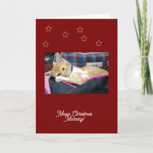 Meow Christmas ,photo, text,  replaceable Holiday Card