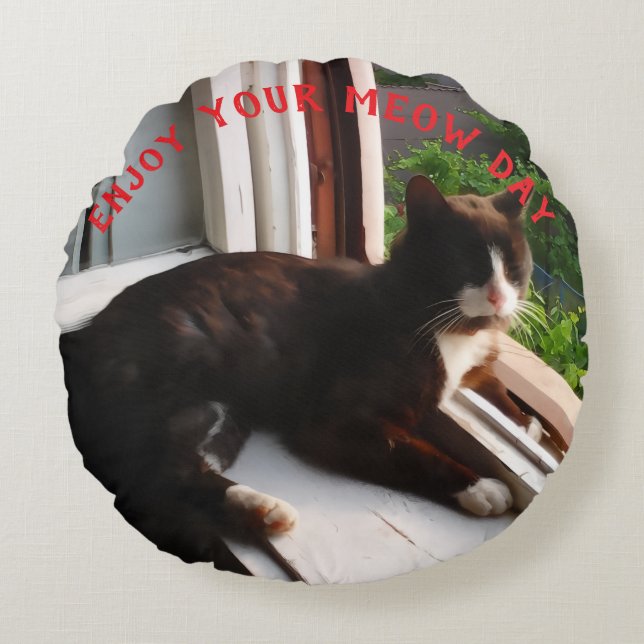 Meow Day Cat Photo Round Pillow (Front)
