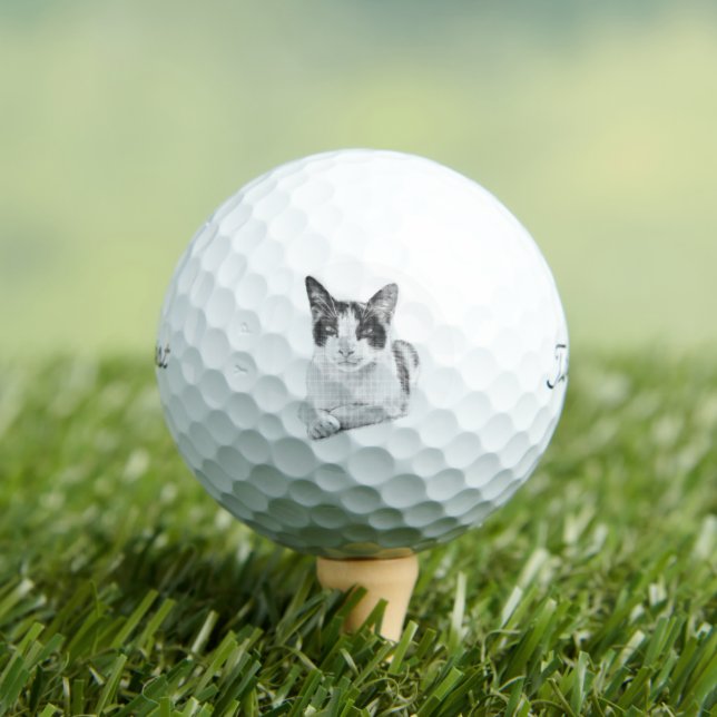 Meow Halftone Golf Balls (Insitu Tee)