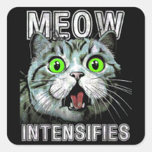 Meow Intensifies Scottish Fold Cat Meme