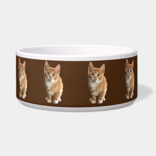 meow kitten cat food bowl