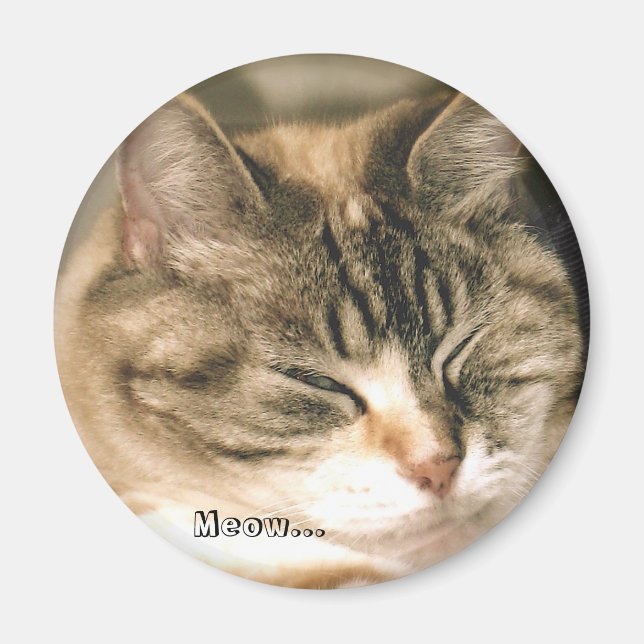 Meow... Magnet (Front)