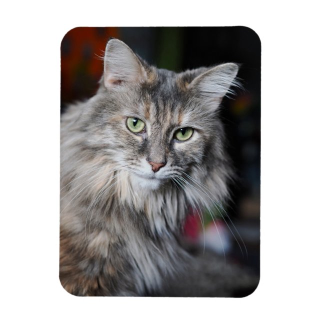 Meow Meow Cat Portrait Magnet (Vertical)