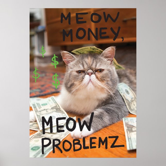 Meow Money, Meow Problemz Poster (Front)