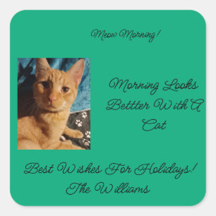 Meow Morning , photo,text, back text, replacable Square Sticker