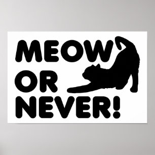 Meow or Never Funny Poster