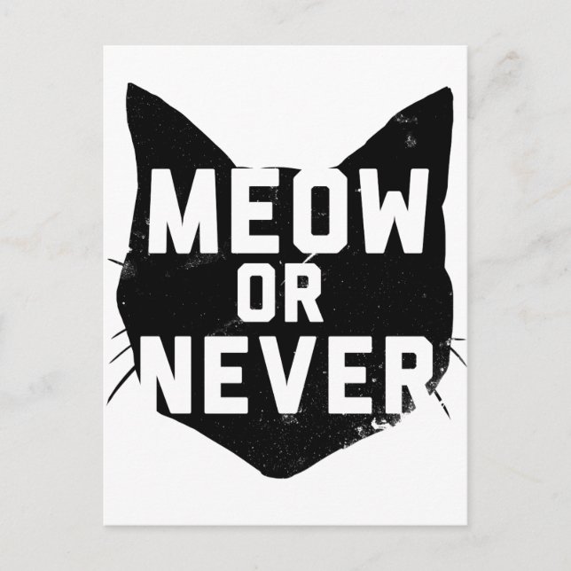 Meow or Never Postcard (Front)