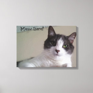 Meow there Gorgeous Kitty Cat Portrait Canvas Print