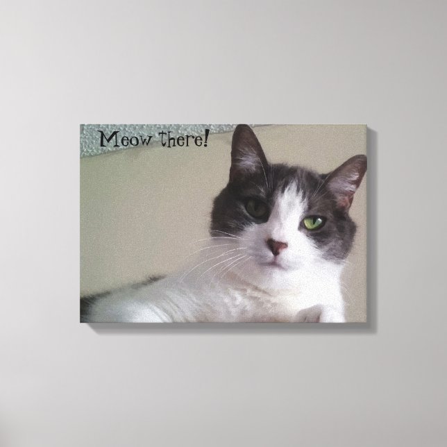 Meow there Gorgeous Kitty Cat Portrait Canvas Print (Front)