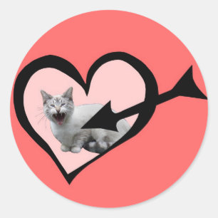 Meowing Cat Valentine Sticker