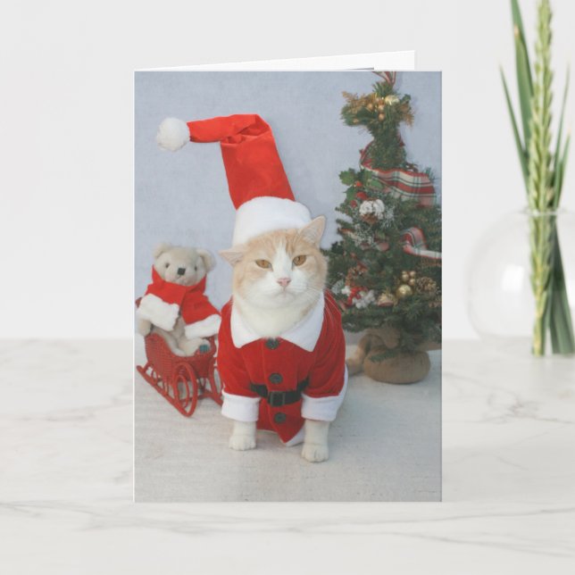 MEOWry Christmas! Holiday Card (Front)