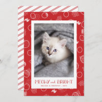 Meowy and Bright | Red | Pet Photo