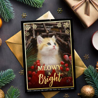 Meowy & Bright Cute Cat Photo & Snowflakes Pet