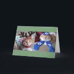 Meowy Catmas and Happy Paw-nukkah! Holiday Card<br><div class="desc">Celebrate the holidays with humour!</div>