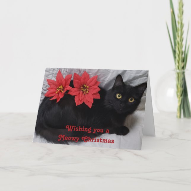Meowy Christmas Black Cat Red Poinsettias Photo Card (Front)