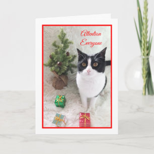 Meowy Christmas Cat Card -- Attention Everyone