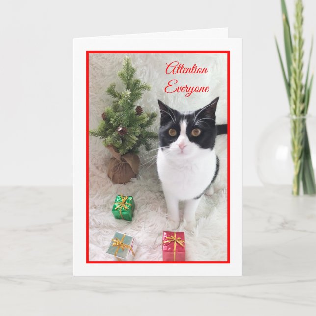 Meowy Christmas Cat Card -- Attention Everyone (Front)