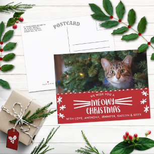 Meowy Christmas   Cat Holiday Photo Postcard