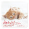 Meowy Christmas Cat Pet Holiday Sticker