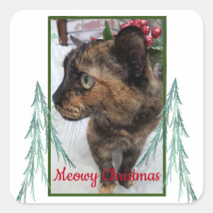 Meowy Christmas Cat Photo Evergreen Square Sticker