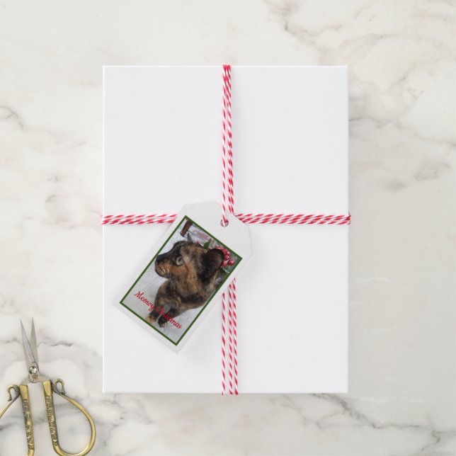 Meowy Christmas Cat Photo Gift Tags (With Twine)