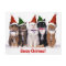 "Meowy Christmas!" Cats