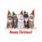 "Meowy Christmas!" Cats In Hats