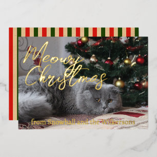 Meowy Christmas Custom Cat Photo