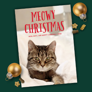 Meowy Christmas Cute Kitty Cat Holiday Photo