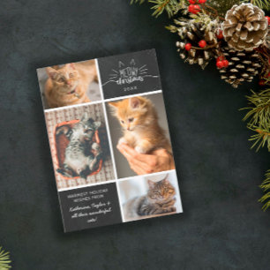 Meowy Christmas - Four Cat Photo Collage Announcement