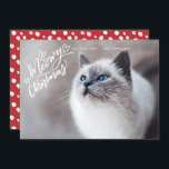 Meowy Christmas  Hand Lettering Cat Full Photo Holiday Card<br><div class="desc">Featuring our hand-lettering that says "Meowy Christmas" in white.</div>