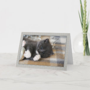 Meowy Christmas Holiday Card
