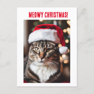 Meowy Christmas! Postcard