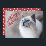 Meowy Christmas Red Hand Lettering Cat Full Photo Holiday Card<br><div class="desc">Featuring our hand-lettering that says "Meowy Christmas" in red.</div>