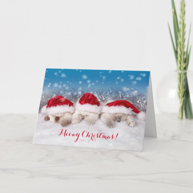 Meowy Christmas Sleeping Kittens Card (Front)