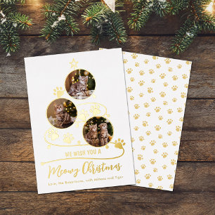 Meowy Christmas Tree Cat 3 Photos Pets