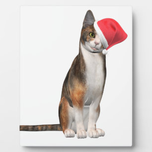 Meowy Christmas with a playful cat in a hat Plaque