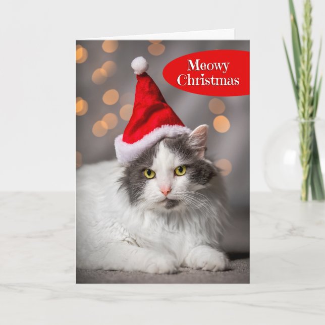 Meowy Merry Christmas For Anyone Cute Cat in Santa Holiday Card (Front)