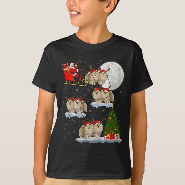 Meranian Dog Santa Sleigh Flying Funny Magical Chr T-Shirt (Front)