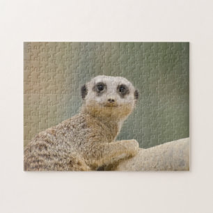 Mercats Africa Jigsaw Puzzle